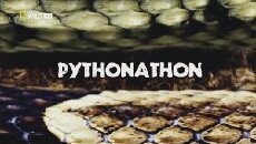 Pythonathon (2014) - Stream Online