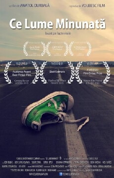 What a Wonderful World (2014) - Stream Online