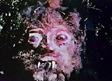 Curse of Bigfoot (1975) - Stream Online