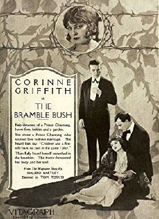 The Bramble Bush (1919) - Stream Online