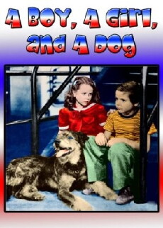 A Boy, a Girl and a Dog (1946) - Stream Online
