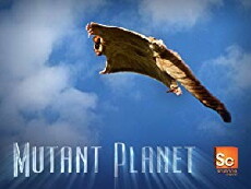 Mutant Planet (2010) - Stream Online