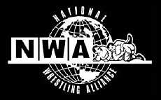 Wrecking Ball Wrestling 2 (2008) - Stream Online
