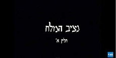 Natziv Hamelech (1979) - Stream Online