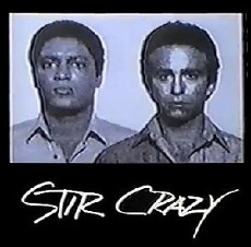 Stir Crazy (1985) - Stream Online
