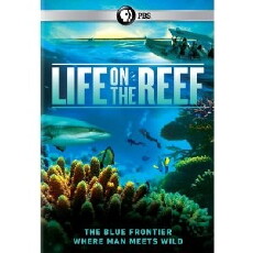Life on the Reef (2015) - Stream Online