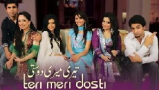 Teri Meri Dosti (2012) - Stream Online