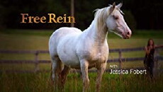 Free Rein (2014) - Stream Online