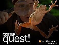 Critter Quest! (2007) - Stream Online