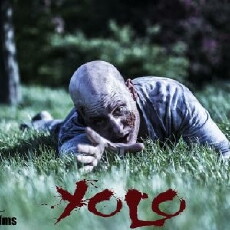 YOLO (2015) - Stream Online