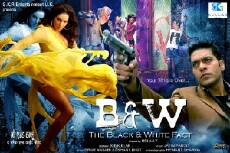 B & W the Black and White Fact (2012) - Stream Online