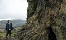 A Monster Calls (2016) - Stream Online