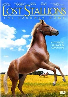 Lost Stallions: The Journey Home (2008) - Stream Online