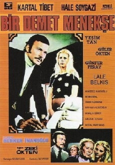A Bunch of Violets (1973) - Stream Online