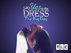 Say Yes to the Dress: The Big Day (2011) - Stream Online