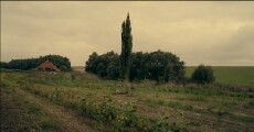 The Boy on the Train (2016) - Stream Online