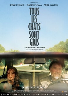 All Cats Are Grey (2014) - Stream Online