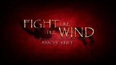 Fight Like the Wind (2016) - Stream Online