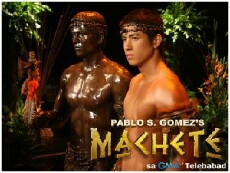 Machete (2011) - Stream Online