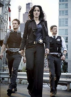 The Chicago Code (2011) - Stream Online