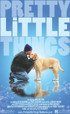 Pretty Little Things (2012) - Stream Online