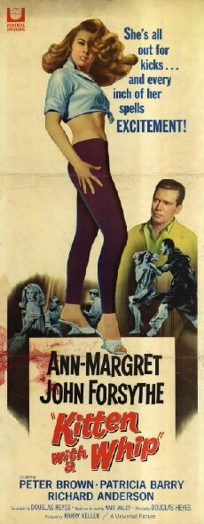 Kitten with a Whip (1964) - Stream Online
