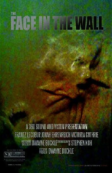 The Face in the Wall (2017) - Stream Online
