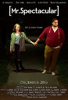 Mr. Spectacular (2016) - Stream Online
