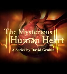 The Mysterious Human Heart (2007) - Stream Online