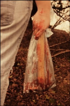 Blood Will Have Blood (2017) - Stream Online