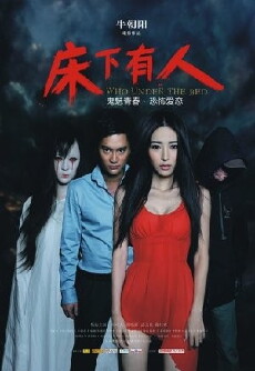 Who is Undercover (2011) - Stream Online