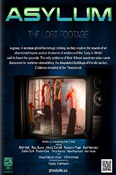 Asylum, the Lost Footage (2013) - Stream Online