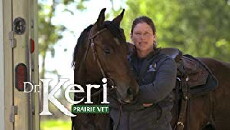 Dr. Keri: Prairie Vet (2017) - Stream Online