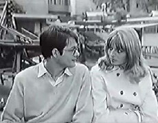 Sumorna jesen (1969) - Stream Online