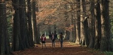 My Friend from the Park (2015) - Stream Online