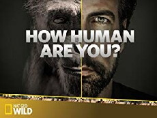 How Human Are You? (2014) - Stream Online