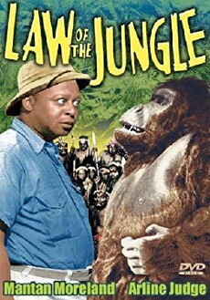 Law of the Jungle (1942) - Stream Online