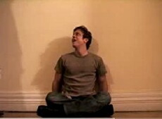 Forest's New Beginning (2006) - Stream Online