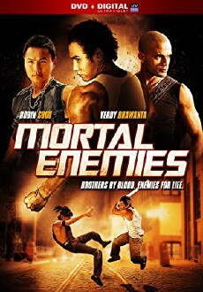 Mortal Enemies (2011) - Stream Online