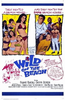 Wild on the Beach (1965) - Stream Online
