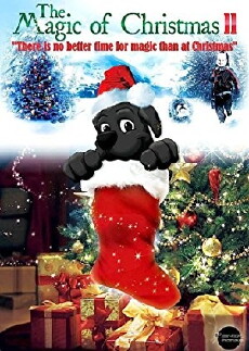 The Magic of Christmas II (2010) - Stream Online