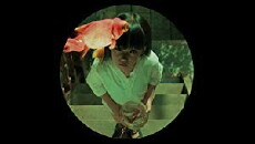 Suspicion (2019) - Stream Online