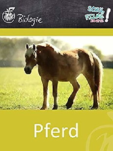 Das Pferd (1964) - Stream Online