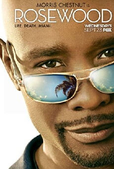 Rosewood (2015) - Stream Online