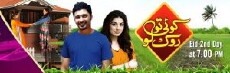 Koi Toh Rok Lo (2014) - Stream Online