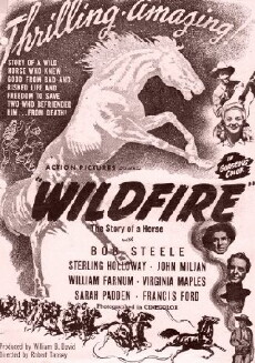 Wildfire (1945) - Stream Online