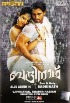Badrinaath (2011) - Stream Online