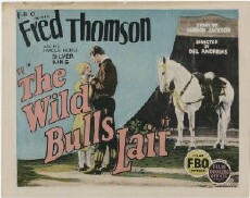 The Wild Bull's Lair (1925) - Stream Online