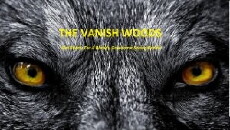The Vanish Woods (2017) - Stream Online