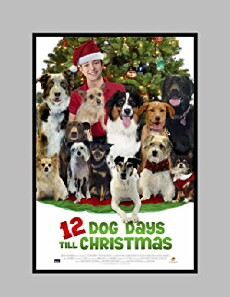 12 Dog Days Till Christmas (2014) - Stream Online